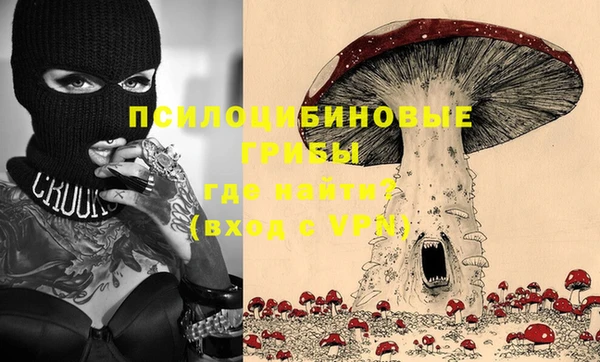 гашик Баксан