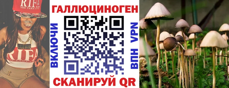 Псилоцибиновые грибы Psilocybine cubensis  blacksprut ССЫЛКА  Мариинский Посад 